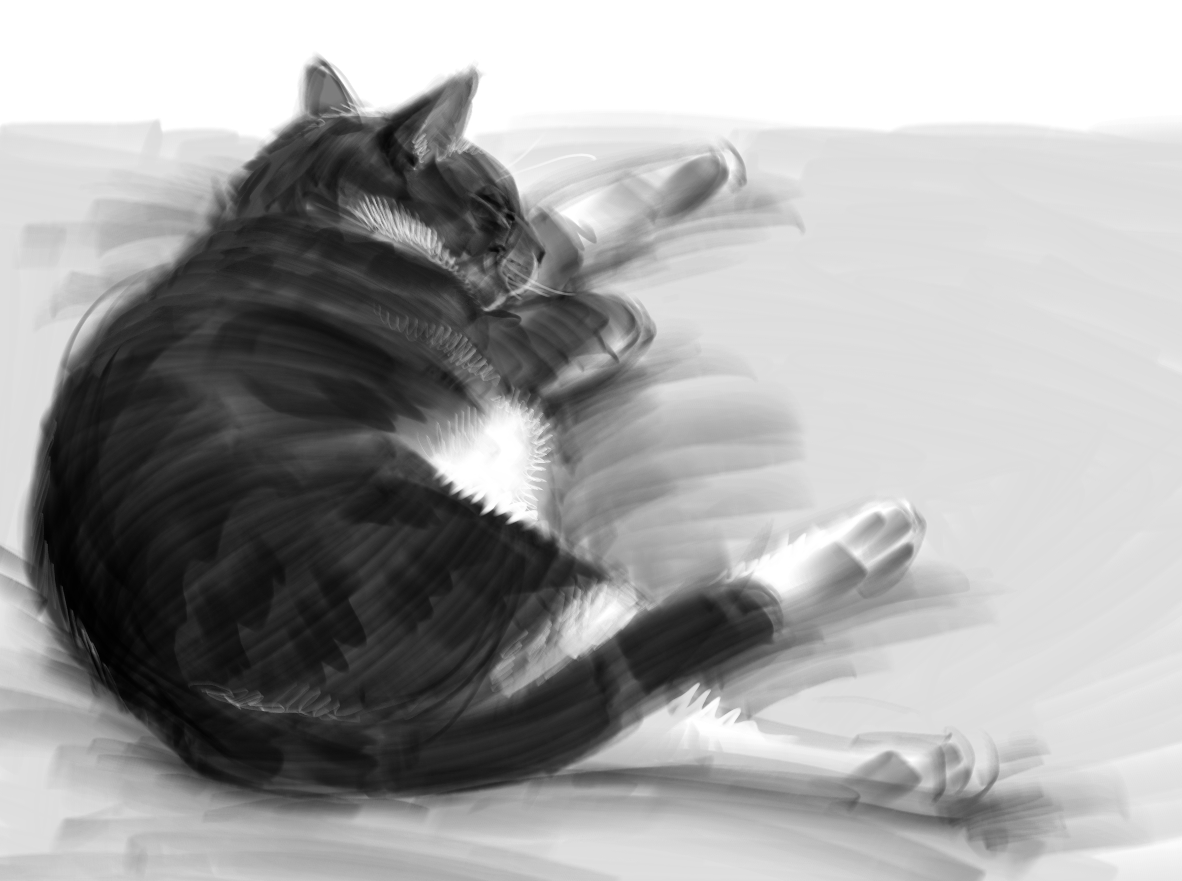 Sketch of my cat, Hugh